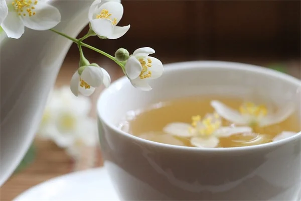 春の芝生のお手入れ完全ガイド｜5つのステップで青々とした芝生に