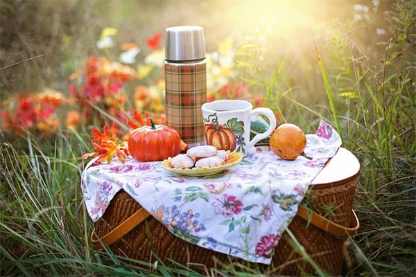 室内栽培は難しい？実は水やり週1回でOKなSmart Garden 9体験談