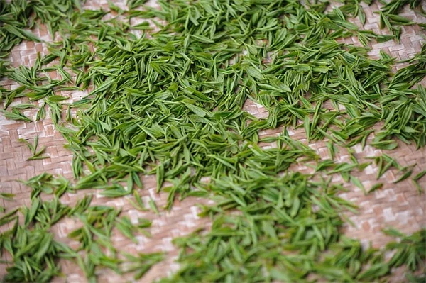 【ハンギングバスケット】プロが選ぶ！長く咲き続ける花10選と育て方のコツ